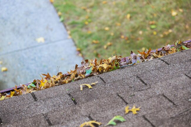 offseason-roof-replacement-services-in-new-york Roof Replacement