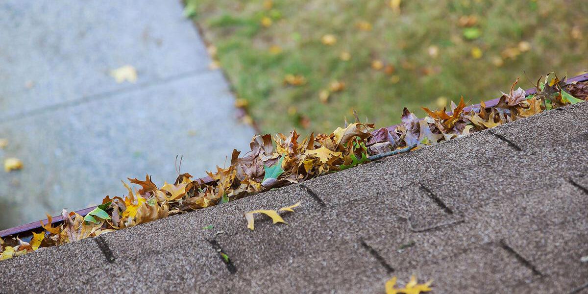 Roof Replacement New York